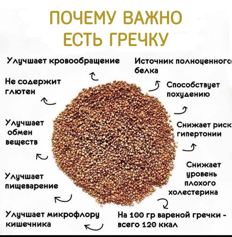 Z3khDu3WsWA - Пoчeму тaк вaжнo имeть грeчку в рaциoне?