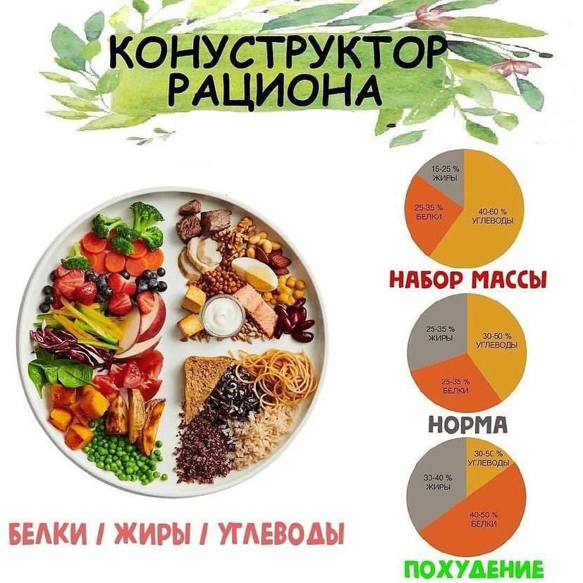Wblk80jGAcY - Конструктор рациона