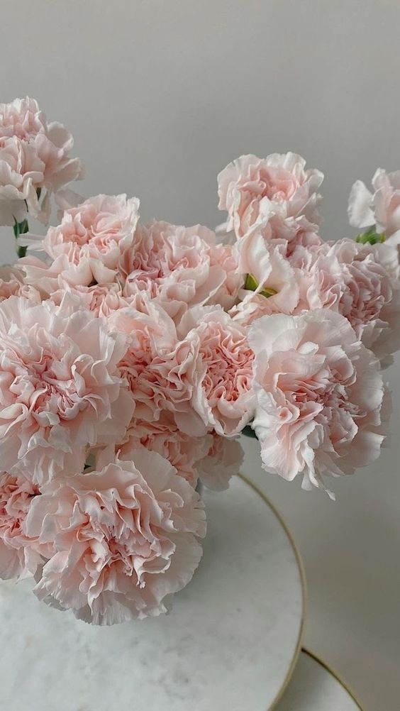 lxgr ocugui - Л Ю Б И 💖 Ц В Е Т И 🌸 С И Я Й 🍥